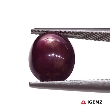 7.72 ct Red Star Ruby - iGemz25800
