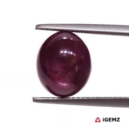 9.24 ct Red Star Ruby - iGemz25801