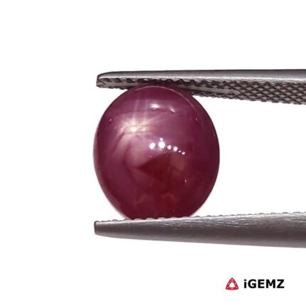 6.46 ct Red Star Ruby - iGemz25802