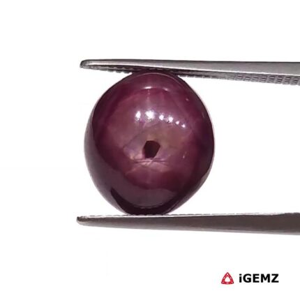 7.84 ct Red Star Ruby - iGemz25803