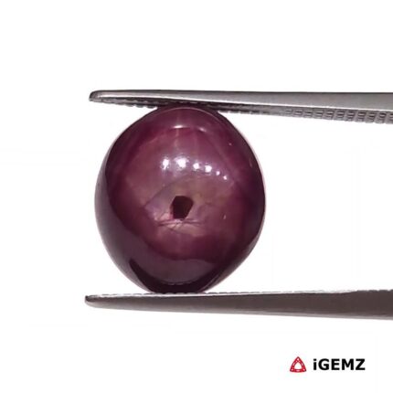 7.84 ct Red Star Ruby - iGemz25803