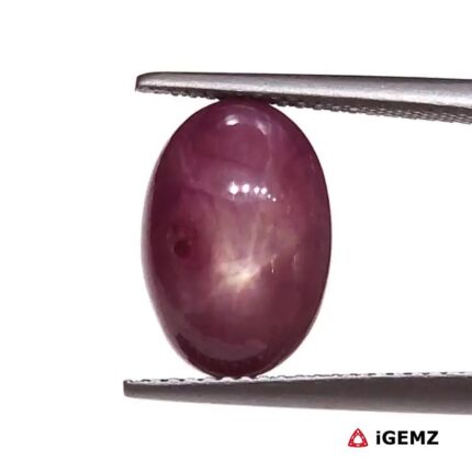 8.34 ct Red Star Ruby - iGemz25804