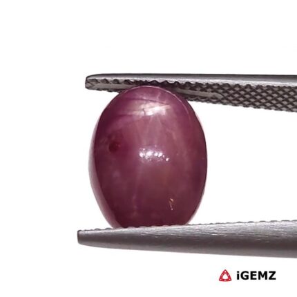8.34 ct Red Star Ruby - iGemz25804