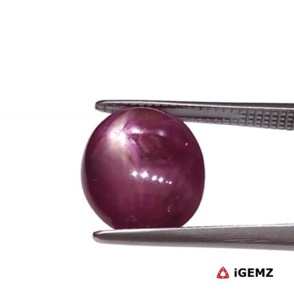 5.43 ct Red Star Ruby - iGemz25805
