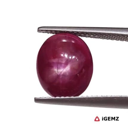 5.92 ct Red Star Ruby - iGemz25806