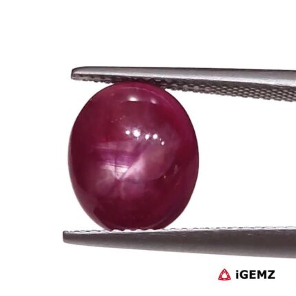 5.92 ct Red Star Ruby - iGemz25806
