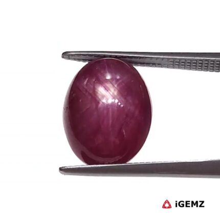 8.67 ct Red Star Ruby - iGemz25807