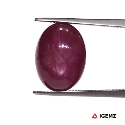 8.67 ct Red Star Ruby - iGemz25807