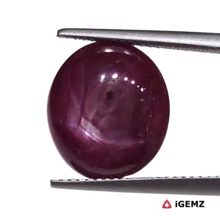 10.23 ct Red Star Ruby - iGemz25808