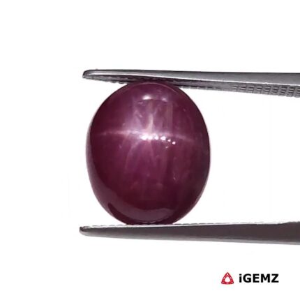 7.09 ct Red Star Ruby - iGemz25809