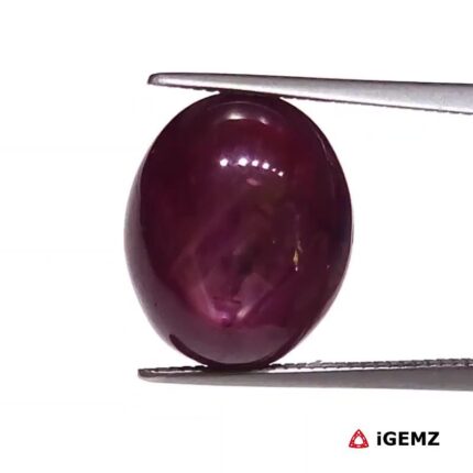 10 ct Red Star Ruby - iGemz25811