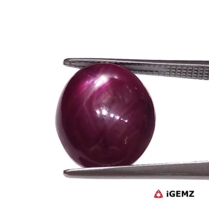 10 ct Red Star Ruby - iGemz25811