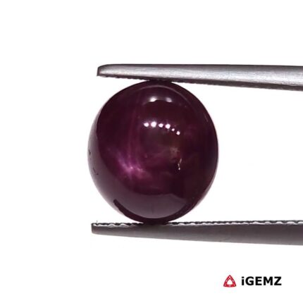 8.42 ct Red Star Ruby - iGemz25812