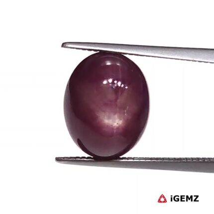 8.32 ct Red Star Ruby - iGemz25813
