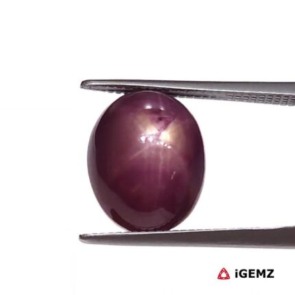 8.32 ct Red Star Ruby - iGemz25813