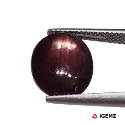 10.13 ct Red Star Ruby - iGemz25814