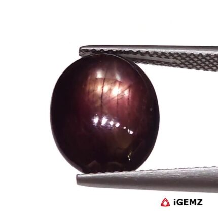 10.13 ct Red Star Ruby - iGemz25814