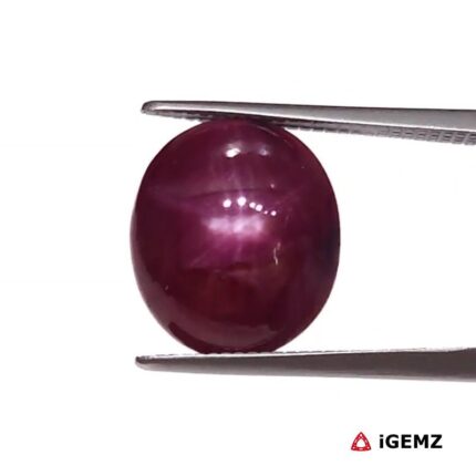 6.28 ct Red Star Ruby - iGemz25815