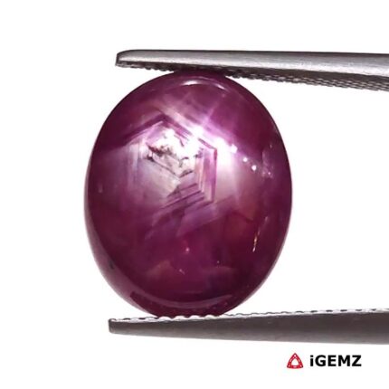 10.31 ct Red Star Ruby - iGemz25816