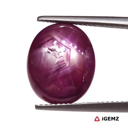 10.31 ct Red Star Ruby - iGemz25816