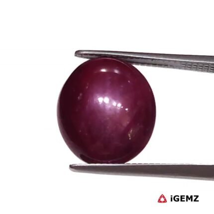 7.44 ct Red Star Ruby - iGemz25817