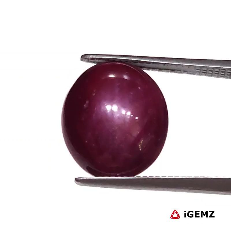 iGemz25817.1 7.44 ct Red Star Ruby - iGemz25817