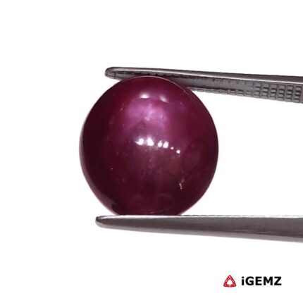 7.44 ct Red Star Ruby - iGemz25817