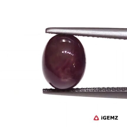 6.97 ct Red Star Ruby - iGemz25818