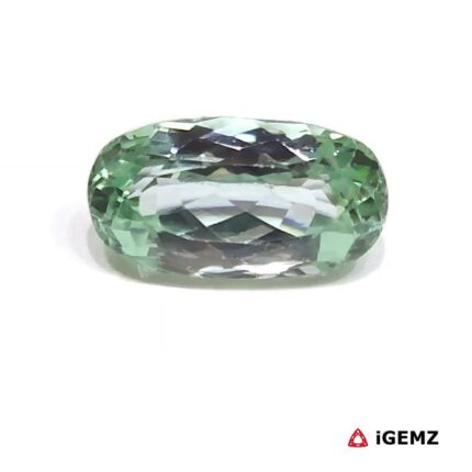 16.5 ct Green Spodumene - iGemz26190