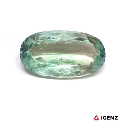 13.5 ct Green Spodumene - iGemz26202