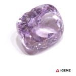 36.18 ct Pink Kunzite - iGemz26215