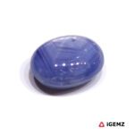 14.1 ct Blue Star Sapphire - iGemz23852