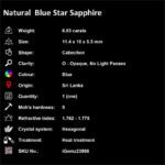 6.93 ct Blue Star Sapphire - iGemz23868