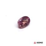 0.46 ct Padparadscha Sapphire - iGemz25218