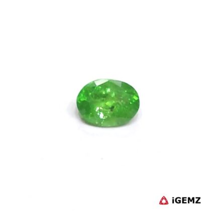 1.29 ct Green Garnet Tsavorite - iGemz25228