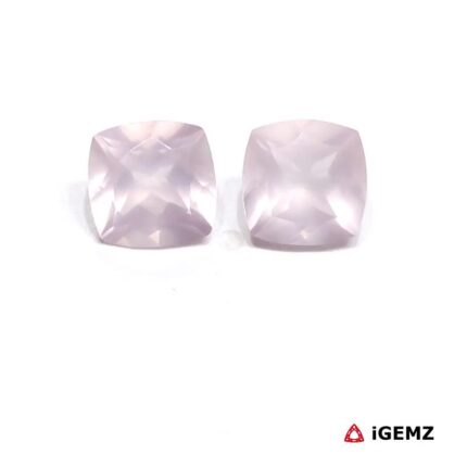 iGemz25240.1