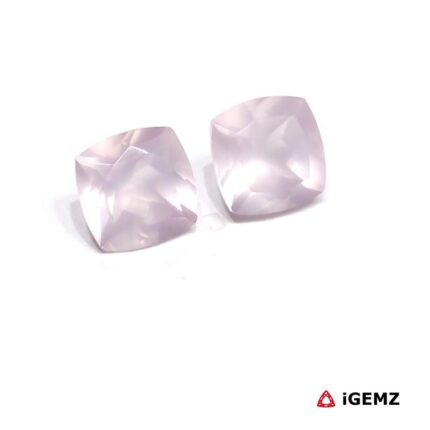 iGemz25240.2