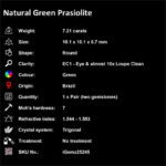 7.21 ct Green Prasiolite - iGemz25245