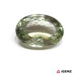 19.2 ct Green Prasiolite - iGemz26130