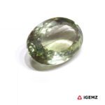 19.2 ct Green Prasiolite - iGemz26130