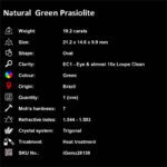 19.2 ct Green Prasiolite - iGemz26130
