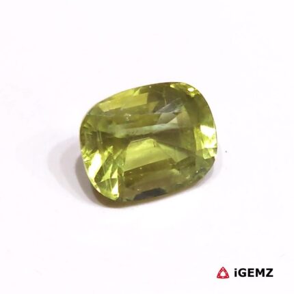 6.6 ct Green Apatite - iGemz30370