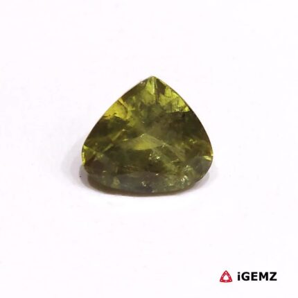 6.64 ct Green Apatite - iGemz30371
