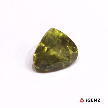 6.64 ct Green Apatite - iGemz30371