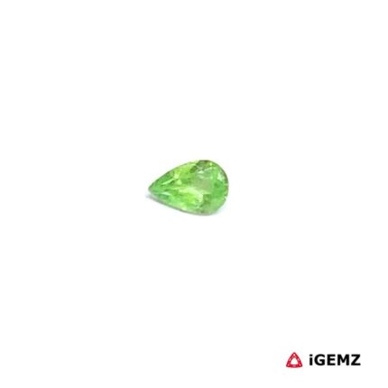 0.19 ct Green Garnet Tsavorite - iGemz30509