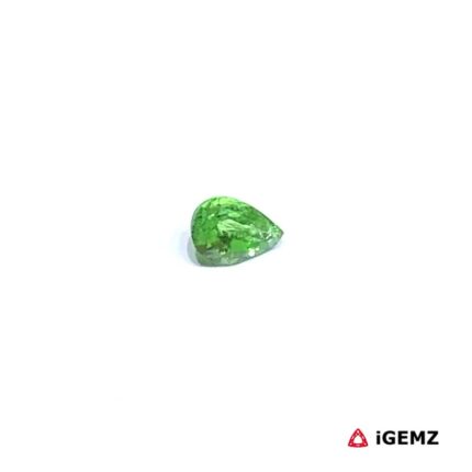 0.28 ct Green Garnet Tsavorite - iGemz30512