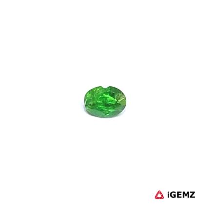 0.24 ct Green Garnet Tsavorite - iGemz30554