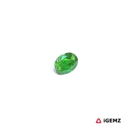 0.24 ct Green Garnet Tsavorite - iGemz30554