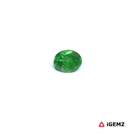 0.36 ct Green Garnet Tsavorite - iGemz30585
