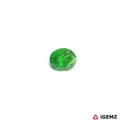 0.36 ct Green Garnet Tsavorite - iGemz30623